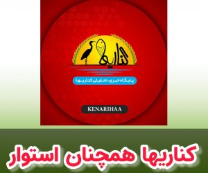 یادداشت قربانعلی خبازکناری صاحب امتیاز و مدیر مسئول پایگاه خبری کناریها: کناریها همچنان استوار