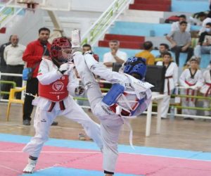 پایان پیکار‌های تکواندو خردسالان کشور در فریدونکنار