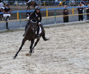 افتخار آفرینی دختر فریدون‌کناری در مسابقات سوارکاری