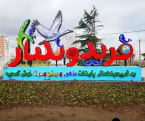 چرا فریدونکنار عقب ماند؟