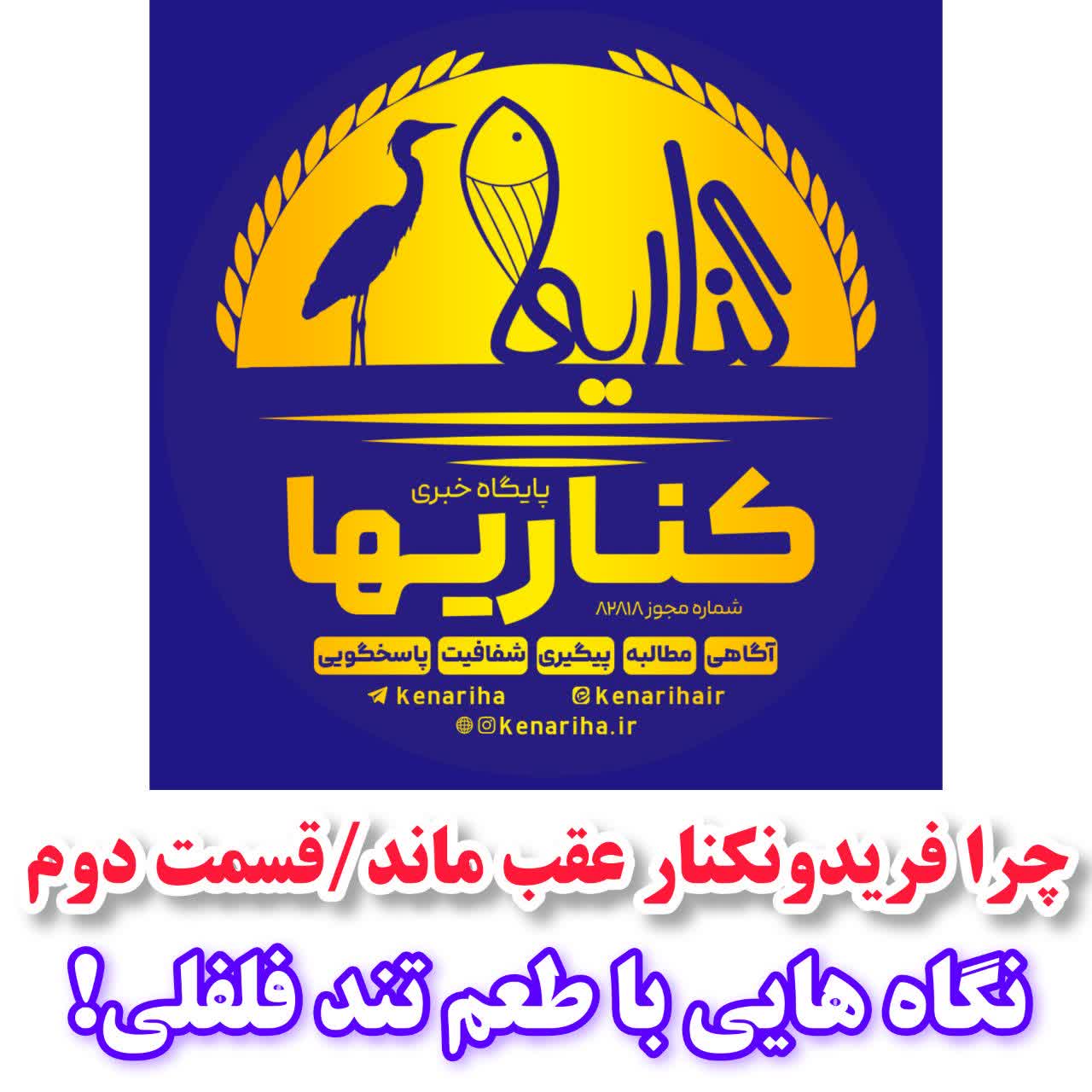 چرا فریدونکنار عقب ماند / قسمت دوم/نگاه هایی با طعم تند فلفلی!