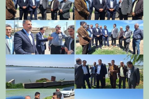بازدید معاون وزیر جهاد کشاورزی از طرح زیرساخت اراضی کشاورزی در فریدون‌کنار