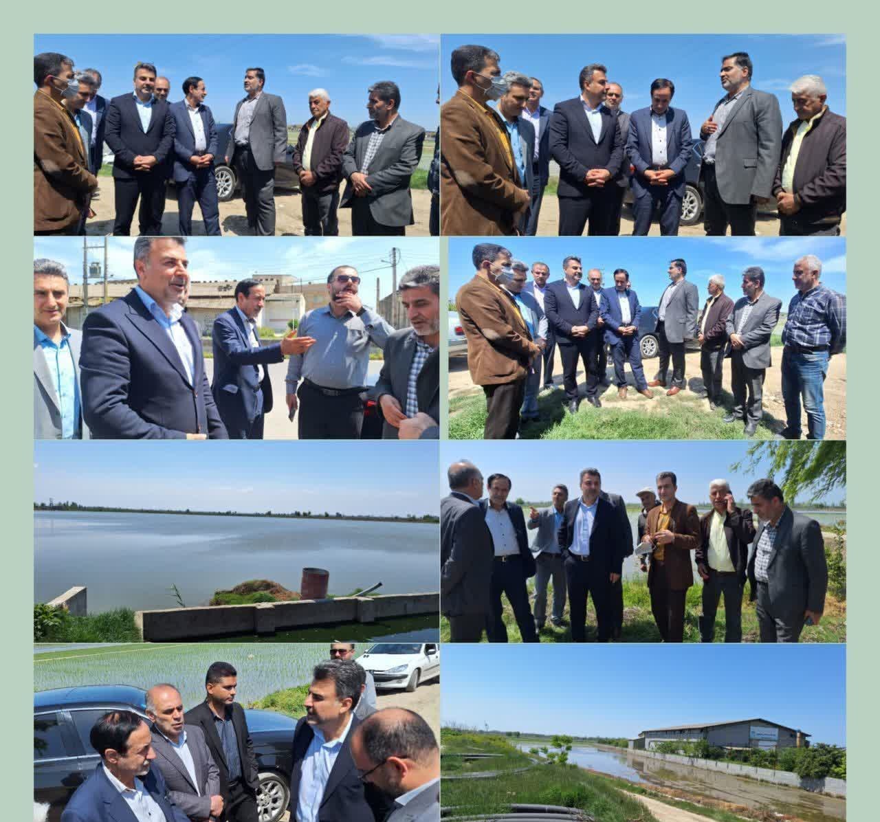 بازدید معاون وزیر جهاد کشاورزی از طرح زیرساخت اراضی کشاورزی در فریدون‌کنار