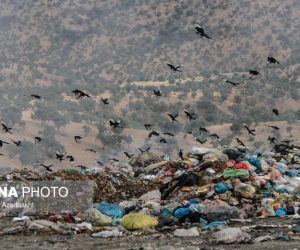 دفن زباله در مناطق ممنوعه مازندران