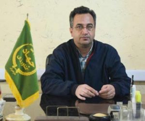 پیش‌بینی برداشت ۲۱ هزار تن شالی در کشت دوم در فریدون‌کنار