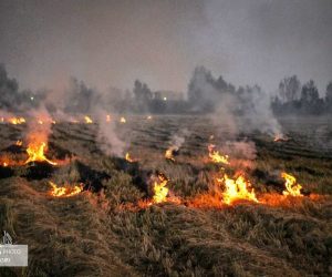 تنگی نفس مازندران از “کرونا” و “آتش کاه و کلش”