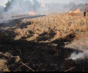 دود آتش بازی کشاورزان مازندرانی در چشم بیماران کرونایی