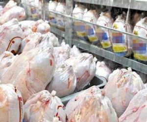 رئیس اتحادیه صنف مرغ و تخم‌مرغ‌ مرکز مازندران خبر داد: فاصله ۵۰۰۰ تومانی قیمت مرغ در مازندران با نرخ مصوب تنظیم بازار!/مردم تمایلی برای خرید مرغ دولتی ندارند